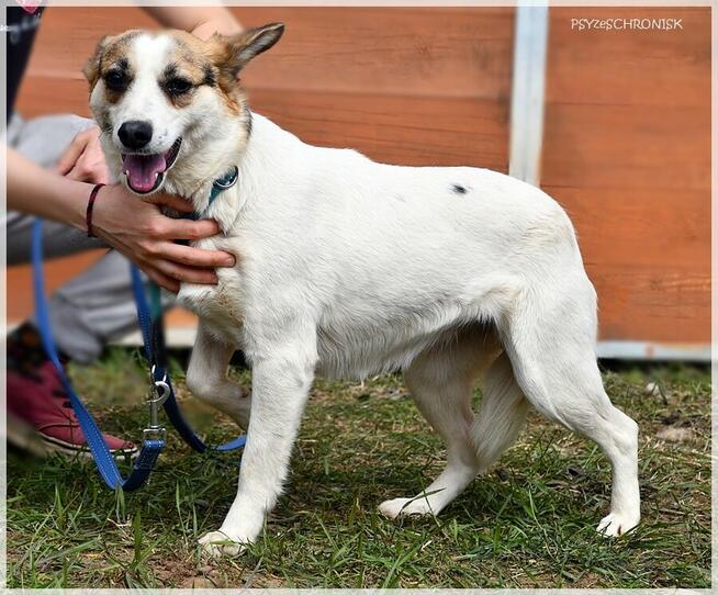 Kraska - teraz będzie już tylko lepiej
