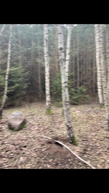 Działka leśna o powierzchni 2,36 ha w MPZP jest