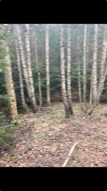 Działka leśna o powierzchni 2,36 ha w MPZP jest