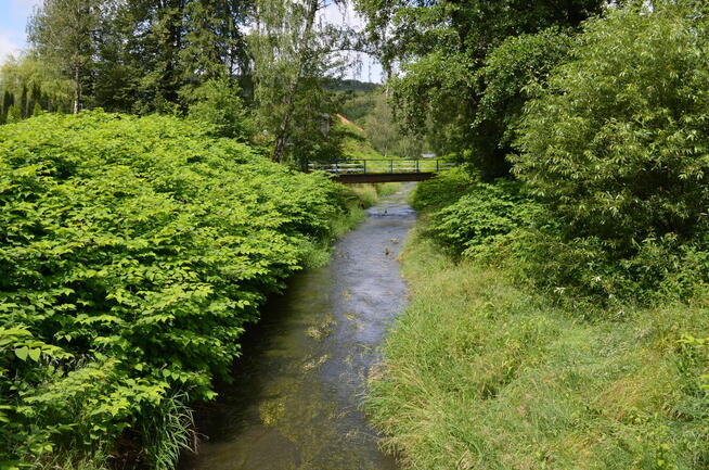 Wynajmę domek w Górach Opawskich w Pokrzywnej