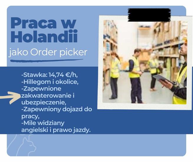 Praca w Holandii, order picker, voice pick