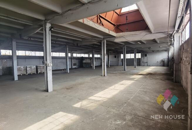 Szczytno, hala do wynajęcia, 4 bramy wjazd TIR