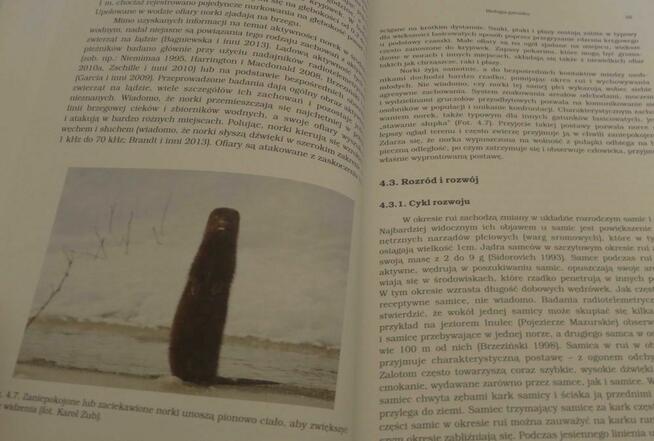 Norka amerykańska. Biologia gatunku inwazyjnego | monografia