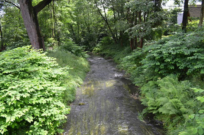 Wynajmę domek w Górach Opawskich w Pokrzywnej