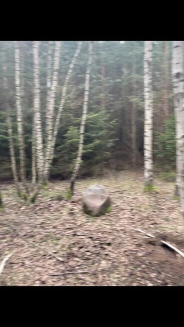 Działka leśna o powierzchni 2,36 ha w MPZP jest