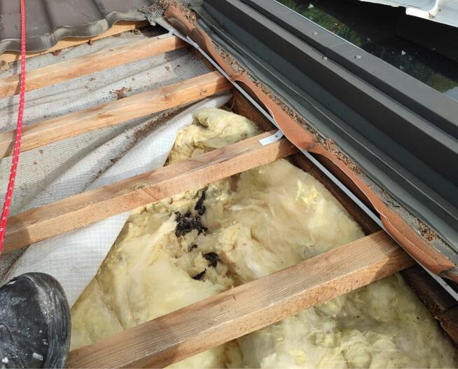 Naprawa dachu oraz izolacji po kunie - UBEZPIECZENIA