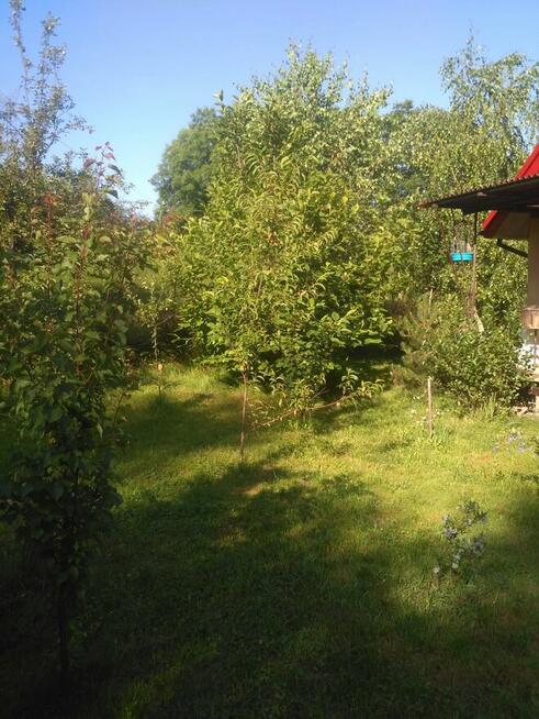 Dom wolnostojący całoroczny na działce ROD