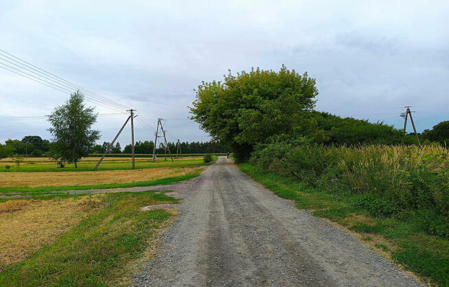 Działki rolne, Werbkowice