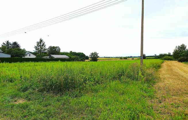 Działki rolne, Werbkowice