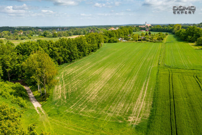 Działka rolna Nowogrodziec,
