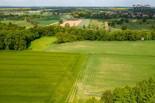 Działka rolna Nowogrodziec,