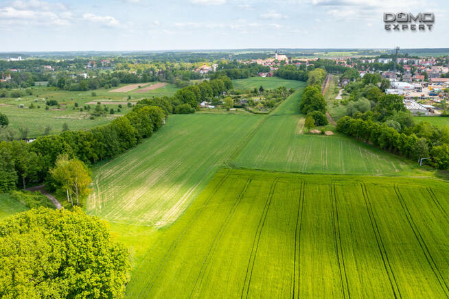 Działka rolna Nowogrodziec,