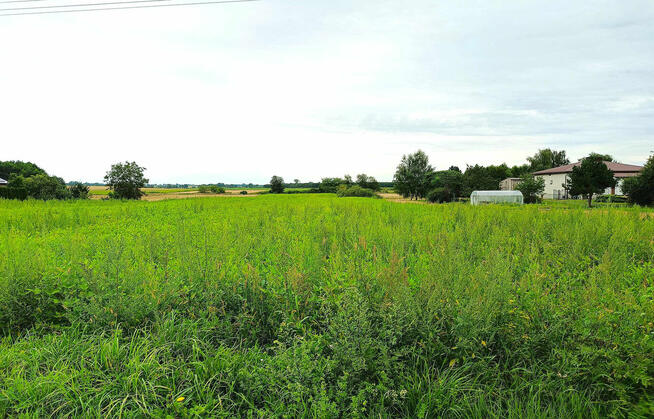 Działki rolne, Werbkowice