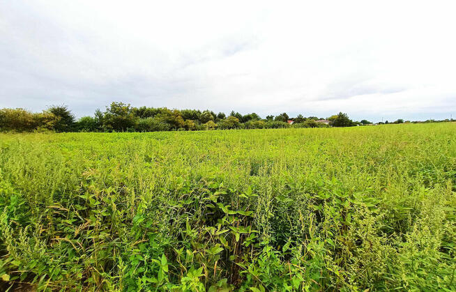 Działki rolne, Werbkowice