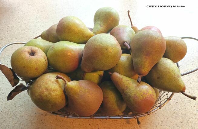 Gruszka Klapsa Faworytka Najtaniej od 1,50-2 zł.za kilogram