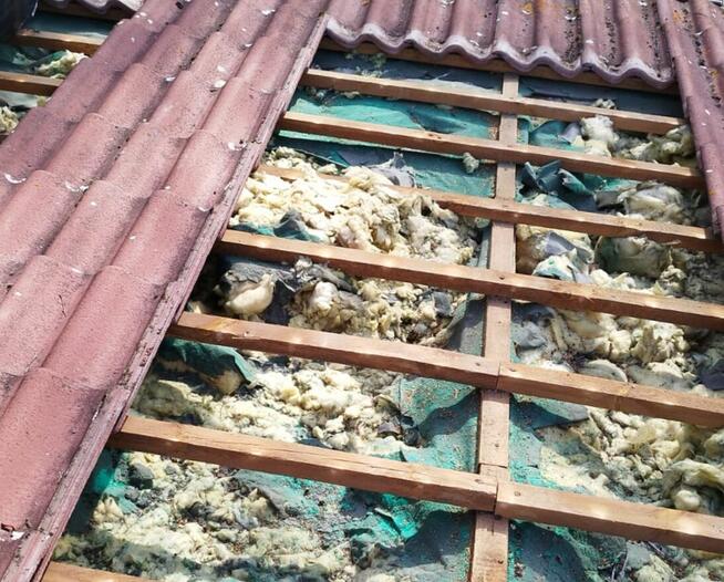 Naprawa dachu oraz izolacji po kunie - UBEZPIECZENIA