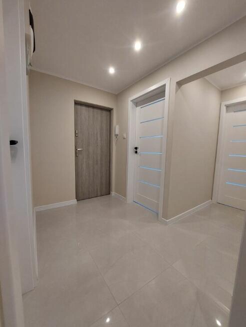 Mieszkanie w Super Lokalizacji , Piwnica