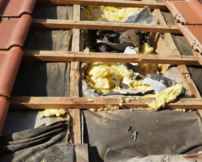 Naprawa dachu oraz izolacji po kunie - UBEZPIECZENIA