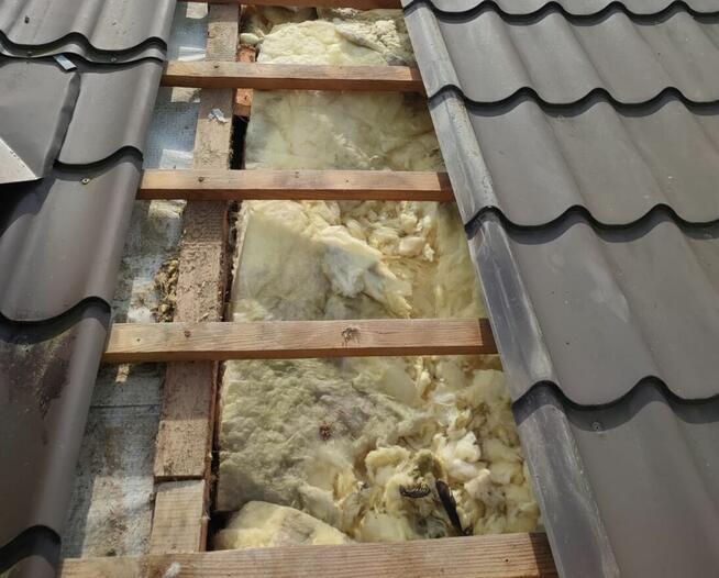 Naprawa dachu oraz izolacji po kunie - UBEZPIECZENIA