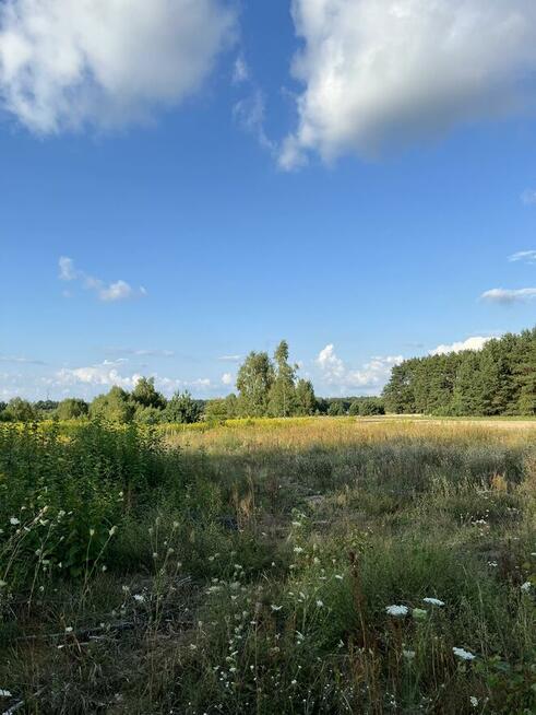 Działka budowlana prąd na działce enklawa ciszy spokoju sosn