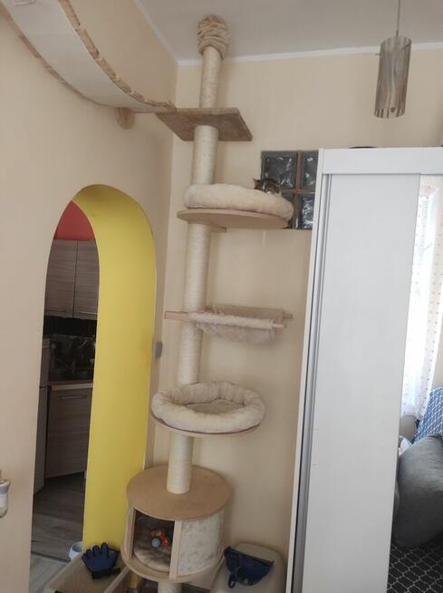 hotel dla Kota 50zl dobą żwirek w cenie