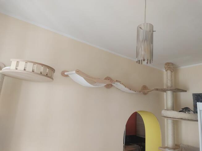 hotel dla Kota 50zl dobą żwirek w cenie