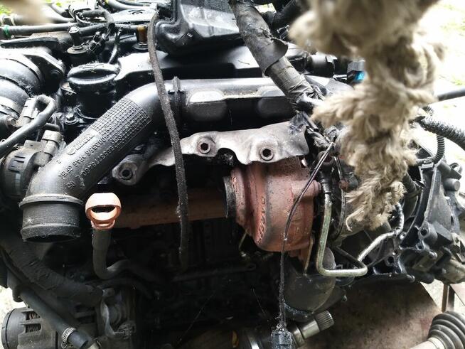 silnik 1.6 HDI 9HC z Citroena Berlingo