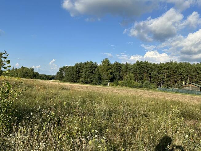 Działka budowlana prąd na działce enklawa ciszy spokoju sosn