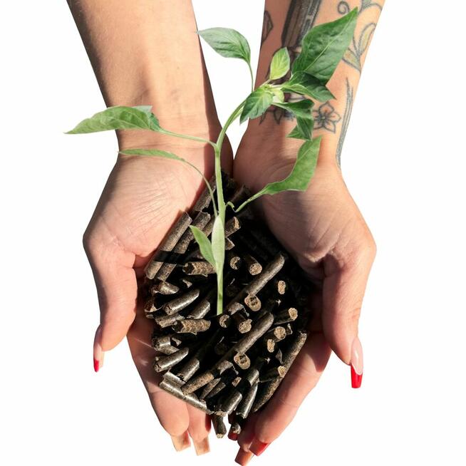 Eko Ściółka dla królików pelet drzewny 6mm 15 kg podłoże