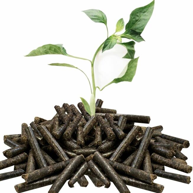 30 kg pellet worek żwirek dla kota kotka do kuwety pelet bio