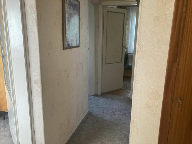 Dom oddam w najem przy ul. Rejmonta