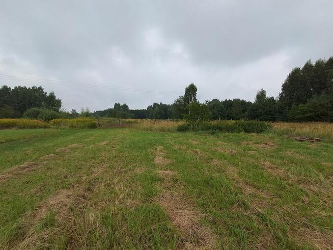 Opole Lubelskie - 1,24 ha - malownicza okolica
