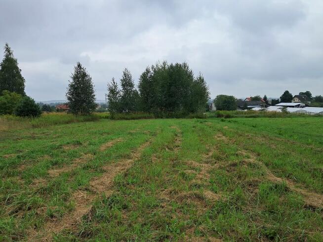 Opole Lubelskie - 1,24 ha - malownicza okolica