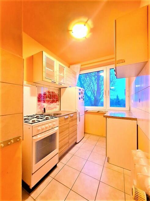 Super Mieszkanie 2 pojowe/Niebuszewo