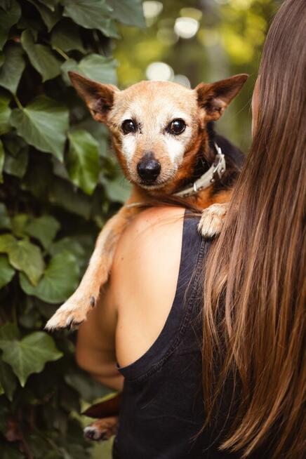 Jestem tak cudownie malutki i stareńki.