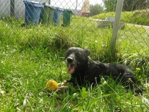 Pikuś ok 2 let wyjątkowy chłopierc czeka na szansę Janik