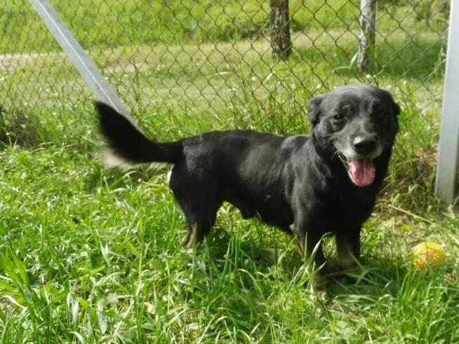 Pikuś ok 2 let wyjątkowy chłopierc czeka na szansę Janik