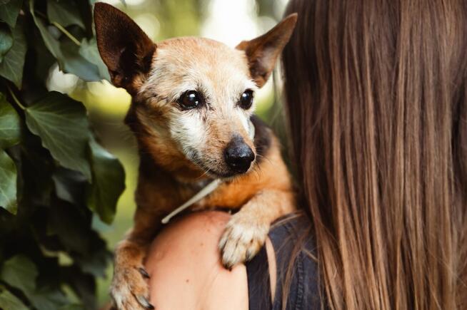 Jestem tak cudownie malutki i stareńki.