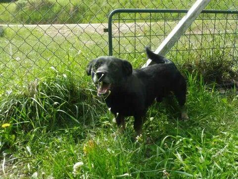 Pikuś ok 2 let wyjątkowy chłopierc czeka na szansę Janik