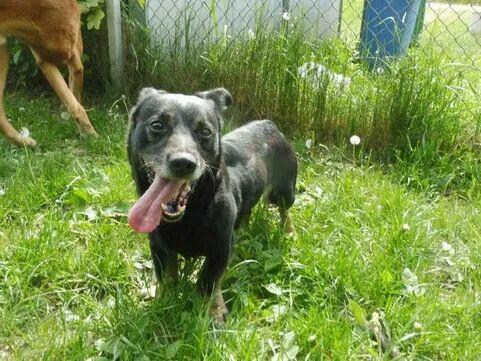 Pikuś ok 2 let wyjątkowy chłopierc czeka na szansę Janik