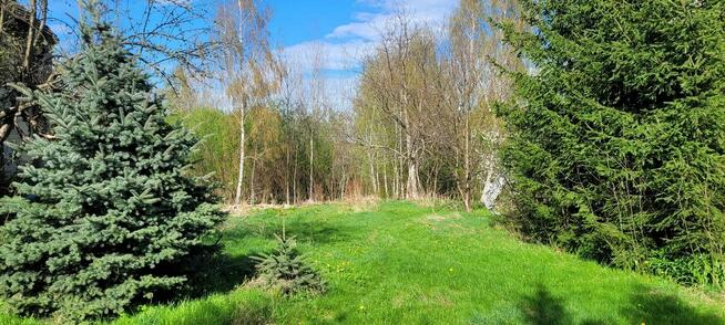 dom na sprzedaż z pięknym ogrodem okazja