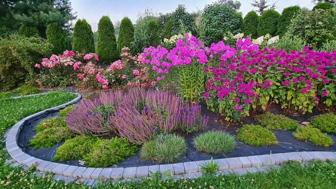 Usługi ogrodnicze Wielka Wieś, Zabierzów, Zielonki, Modlnica