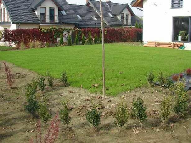 Usługi ogrodnicze Wielka Wieś, Zabierzów, Zielonki, Modlnica