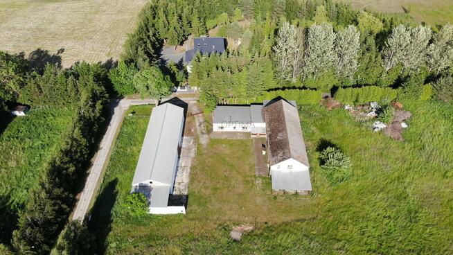 Działka gospodarstwo Zieleniewo gm. Kołobrzeg, Bażancia