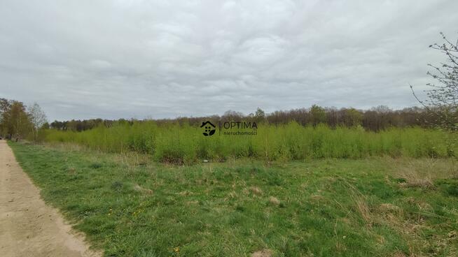 Działka Stare Bielice gm. Biesiekierz, Platanowa