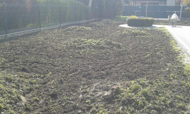 Pielęgnacja ogrodów, ogrodnik - Wielka Wieś , Zielonki