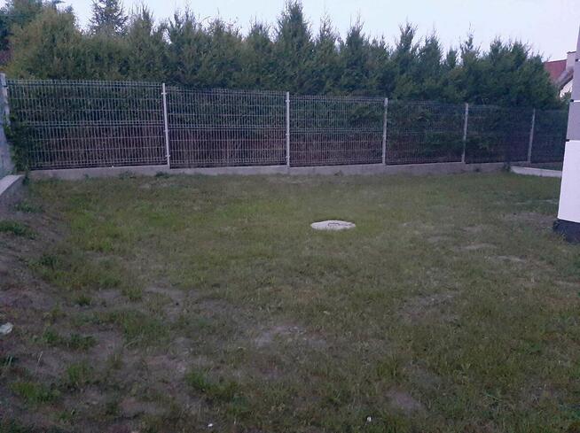 Usługi ogrodnicze Wielka Wieś, Zabierzów, Zielonki, Modlnica