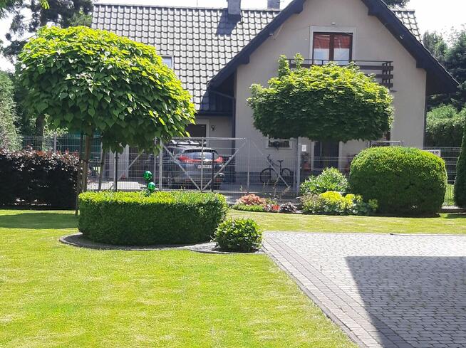 Pielęgnacja ogrodów, ogrodnik - Wielka Wieś , Zielonki