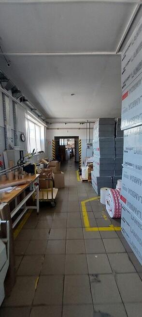 Syndyk sprzeda - Zakład Poligraficzny w Ławach