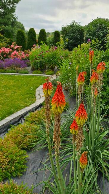 Usługi ogrodnicze Wielka Wieś, Zabierzów, Zielonki, Modlnica